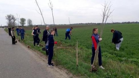 OPLEMENILI PROSTOR IZMEĐU SELA: Volonteri sadili drvored između Starog Žednika i Đurđina