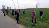 OPLEMENILI PROSTOR IZMEĐU SELA: Volonteri sadili drvored između Starog Žednika i Đurđina
