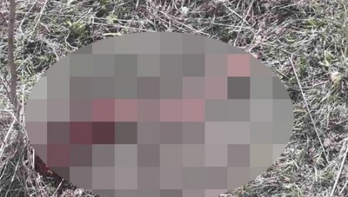 SNAJPEROM PRESUDILI SRNDAĆU, GLAVA MU PRONAĐENA U TORBI: Nečuven krivolov u Nacionalnom parku Durmitor (UZNEMIRUJUĆE FOTOGRAFIJE)