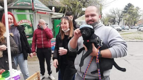 ZELENE ŠAPE BRINU O NAPUŠTENIM ŽIVOTINJAMA: Organizovali humanitarnu akciju u centru Zrenjanina