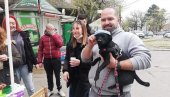 ZELENE ŠAPE BRINU O NAPUŠTENIM ŽIVOTINJAMA: Organizovali humanitarnu akciju u centru Zrenjanina