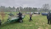 PODELILI 200 SADNICA TOPOLE: Prolećna sadnja u Obrenovcu