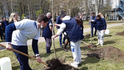 SADILI MLADICE U STUDENJAKU  Povodom Dana planete Zemlje, akademci oplemenili dvorišta domova u Srbiji