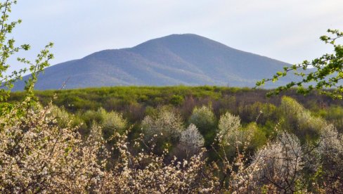 VRŠČANI ZA DANAS U 18 ČASOVA ZAKAZALI PROTEST ISPRED GRADSKE KUĆE I mitropolit protiv radara