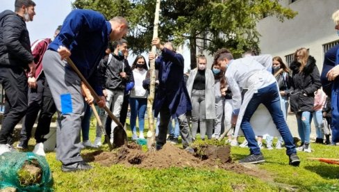 НА ДАН ПЛАНЕТЕ ЗЕМЉЕ: Албанци и Срби из бујановачких школа посадили брезе