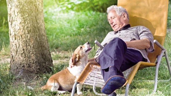 ЉУБИМЦИ ЧУВАЈУ И ЗДРАВЉЕ И СРЦЕ: Брига о животињама код старијих повољно утиче на одржавање физичке и психичке кондиције