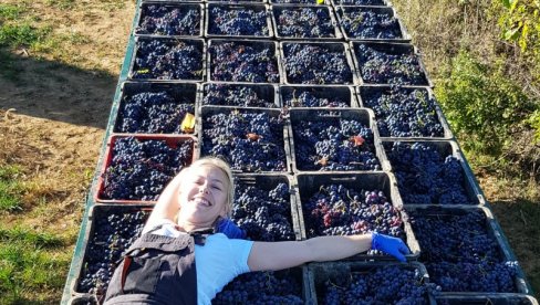 PIĆE BOGOVA IZ RUKU ŽENA: U Srbiji je sve više pripadnica lepšeg pola koje su vlasnice porodičnih vinarija