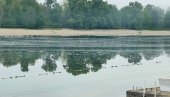 АДА ЦИГАНЛИЈА ЈЕ ПРОБЕЛМАТИЧНА: Водостаји Саве и Дунава су у стагнацији, за сада нема страха од изливања река