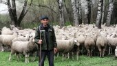 KO MISLI DA SU OVCE GLUPE, NEKA PROBA DA IH VODI! Čobanin Janoš Kutkin (50) pola svog života proveo brinući se o životinjama