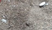 PRVE FOTOGRAFIJE SA IGRALIŠTA: Novi detalji užasa u Novom Sadu,  deca pronašla ručnu bombu u pesku  (FOTO)