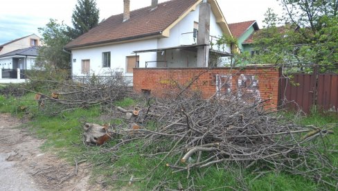 NEDOSTAJU RADNICI  I VOZAČI: U JKP Čistoća kubure sa odnošenjem baštenskog otpada sa periferije (FOTO)