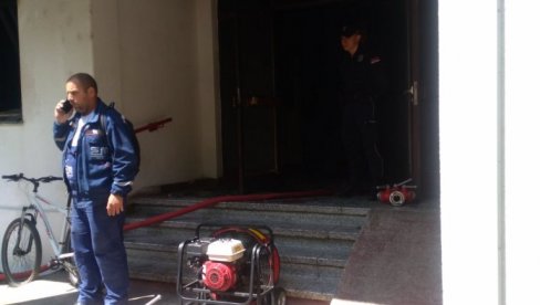 MOLIO JE DA MU PRVO SPASU PSA: Drama tokom požara u Novom Sadu, uplašeni čovek sa prozora dozivao u pomoć! (FOTO)