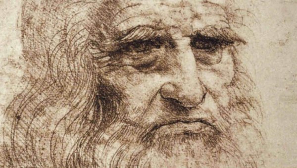 ГЛАВА МЕДВЕДА НА АУКЦИЈИ: За Леонардов цртеж рекордних 16,8 милиона долара?