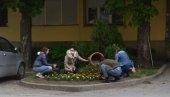 MATURANTKINJE UKRASILE ZGRADU OPŠTINE: Srdnjoškolke iz Kovina tradicionalno sadile cveće