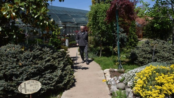 И БОДЉЕ ВОЛИ ЗБОГ ЦВЕТОВА: Новица Јањић (74) из Ћуприје има највећи стакленик са кактусима у Србији