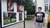 DVE IZUZETNE IZLOŽBE ART TIMA: Novoosnovana fotogrupa iz Paraćina uspostavila saradnju sa kineskim FK Megrez iz Pekinga