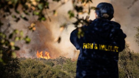 POŽAR U OKOLINI LOS ANĐELESA: Hiljade ljudi pozvano da se evakuišu - uhapšena dvojica osumnjičenih