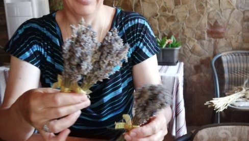 ZA LAVANDU I PČELE  DVA MILIONA DINARA: Gradsko veće Sombora usvojili mere pomoći poljoprivredi