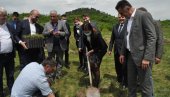 VUJOVIĆ: Sadnice i novi kotlovi za čistiji vazduh u Novom Pazaru
