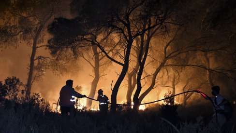 OGROMAN GUBITAK ZA PČELARE: U požarima u Grčkoj uništeno više od 9.000 košnica