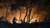 ОГРОМАН ГУБИТАК ЗА ПЧЕЛАРЕ: У пожарима у Грчкој уништено више од 9.000 кошница