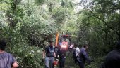 SVAKE GODINE SADE MLADICE: U prethodnom periodu kod klizišta duboko na području opštine Obrenovac posečeno oko 11 hektara šume