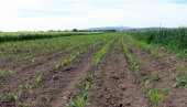 LAKŠE DO TRGOVINSKIH LANACA: Predlog Zakona o uređenju tržišta poljoprivredni proizvoda