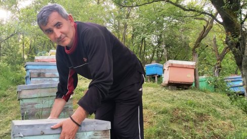 MED NIKAD SKUPLJI A PRINOS SVE MANJI: Zoran Jovanović (45) iz okoline Paraćina već dvadeset godina živi isključivo od pčelarstva