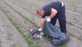 GRAĐANI U STRAHU ZA SVOJE ZDRAVLJE: Krivac za masovni pomor golubova u Borči nepoznat