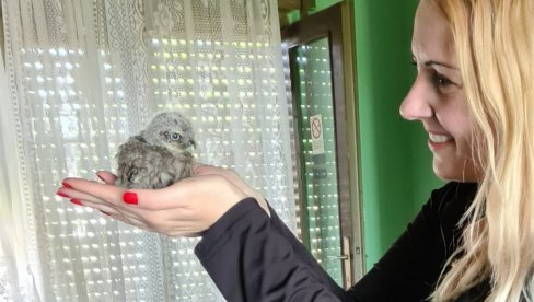 SOVICA POSTALA MEZIMAC: Porodica Stanković iz Savinog Sela kod Vrbasa spasla mladunče ćuka