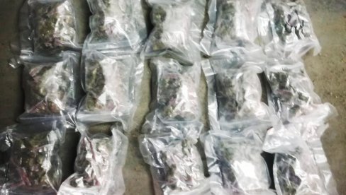 PAO ZBOG NARKOTIKA: Dvadesetogodišnji Paraćinac uhapšen zbog posedovanja veće količine marihuane