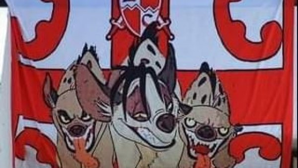 ОВО СУ „ХИЈЕНЕ“ Пуцају, бију, напали Цецу, гробар им спевао химну и владају Новим Београдом (ФОТО)