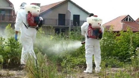 ВИШЕ УНИШТЕНЕ АМБРОЗИЈЕ: Мале казне за непоштовање прописа