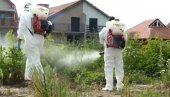 DANAS TRETIRAJU AMBROZIJU: Dve akcije suzbijanja alergena u opštini Alibunar