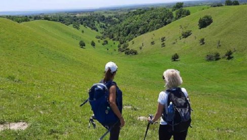 JUBILEJ ZRENJANINSKIH PLANINARA: Navršava se 70 godina od osnivanja