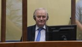 SRAMAN KOMENTAR GLAVNOG TUŽIOCA: Bramerc izvređao Ratka Mladića posle presude