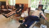 DAJ KRV, NEKA SVA SRCA KUCAJU: Zrenjanin obeležava Svetski dan dobrovoljnih davalaca krvi
