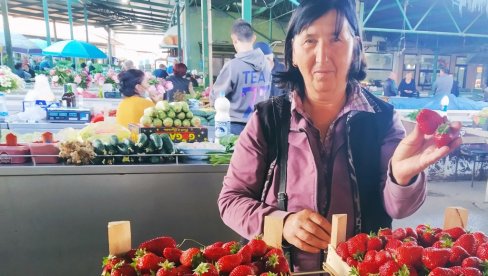 ПРВЕ ЈАГОДЕ 800 ДИНАРА: Мања понуда црвених плодова на зеленим и кванташким пијацама широм Србије, а и они којих има - прескупи