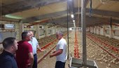 КОКОШКЕ НОСЕ КУВАНА ЈАЈА? Министар Недимовић насмејао домаћине на фарми пилића