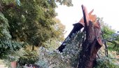 NEVREME U HRVATSKOJ. Snažan vetar rušio drveće u Slavoniji