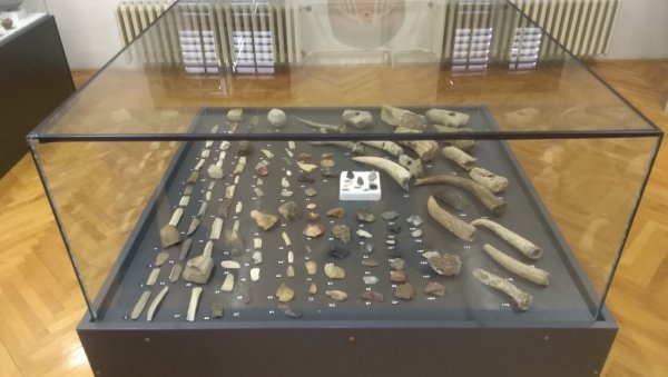 ЖИВОТ У ШУМАДИЈИ У НЕОЛИТУ: Археолошка изложба Старији и млађи неолит на тлу централне Шумадије  у Народном музеју у Крагујевцу