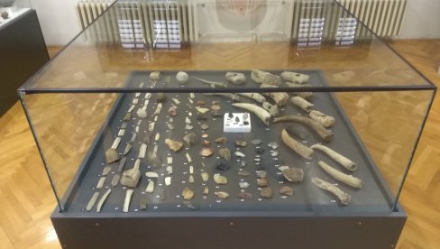 ŽIVOT U ŠUMADIJI U NEOLITU: Arheološka izložba Stariji i mlađi neolit na tlu centralne Šumadije  u Narodnom muzeju u Kragujevcu