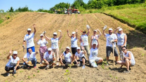 Волонтери компаније НИС посадили поврће и зачинско биље у башти намењеној Суперхеројима из НУРДОР Родитељских кућа