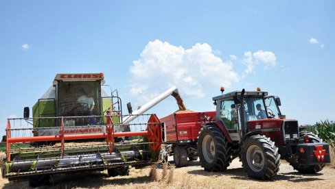 PRINOS OPET NADMAŠIO CENU: Žetva pšenice u Semberiji počela nekoliko dana ranije