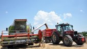 ПРИНОС ОПЕТ НАДМАШИО ЦЕНУ: Жетва пшенице у Семберији почела неколико дана раније