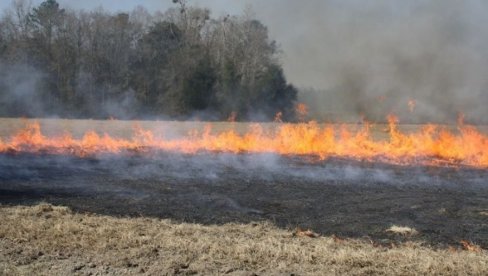 КО ПАЛИ ЊИВЕ, ОСТАЈЕ БЕЗ СУБВЕНЦИЈА: У Вршцу најављене ригорозне мере због атарских пожара