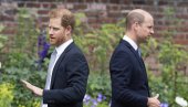 СВЕ ЈЕ БИЛА ЛАЖ Принц Хари открио истину о венчању свог брата Вилијама - Био у питању медијски трик