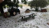 GRAD UNIŠTIO SNOVE MALINARA: Nezapamćeno nevreme obralo voće u užičkom kraju, poljoprivrednici sabiraju štetu