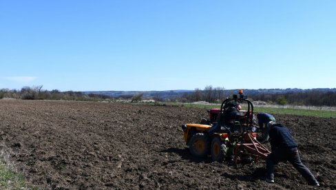 OBNOVA GAZDINSTAVA: Borskim poljoprivrednicima od 1. februara pomažu i savetodavci