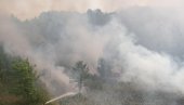 VELIKI POŽAR NA GRANICI SA MAĐARSKOM: Gust crni dim se nadvio nad Suboticom, vatrogascima teren otežava posao